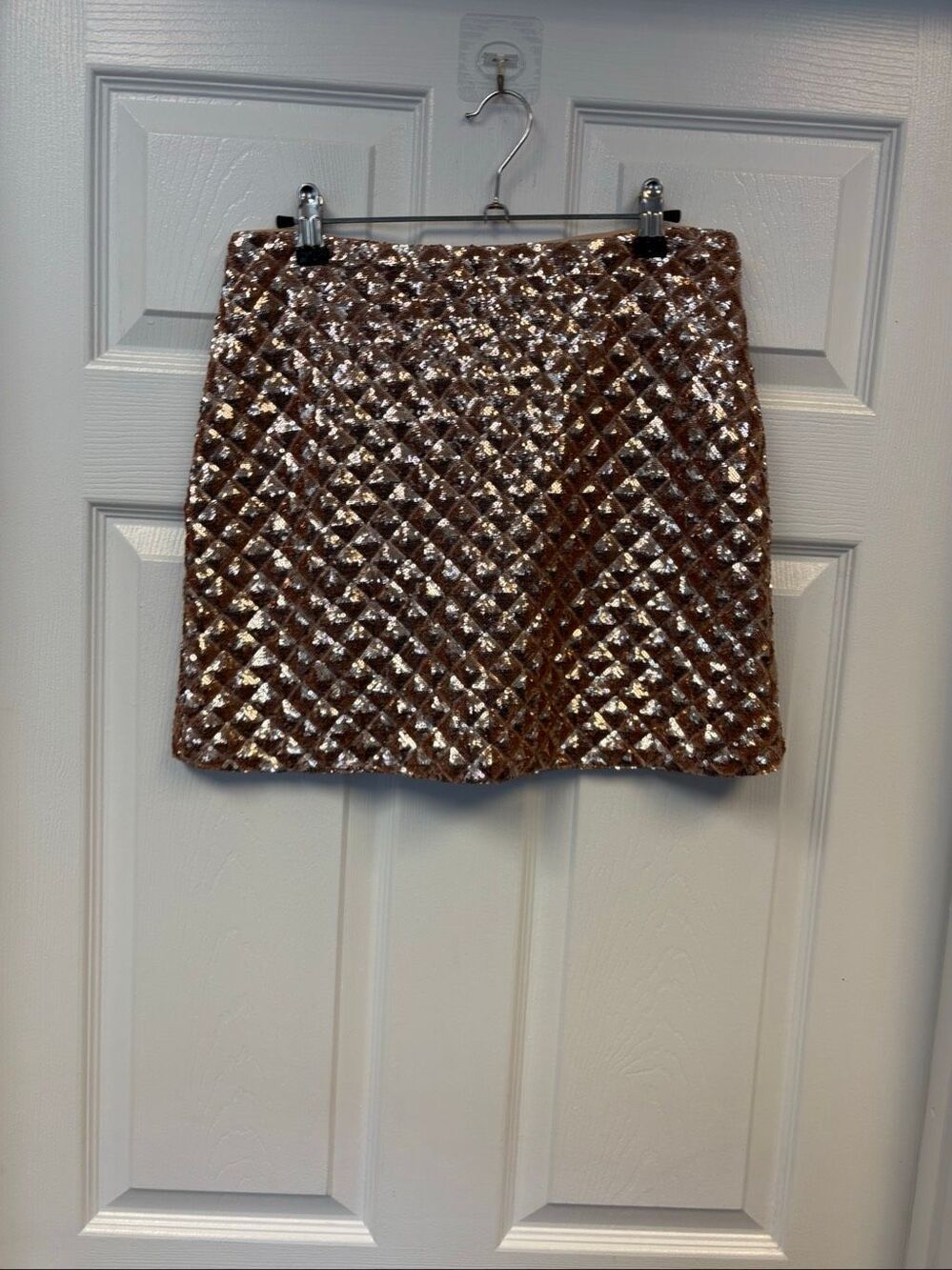 Champagne Sequin Embellished Skirt